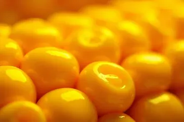 Czy kukurydza jest lekkostrawna? Kompletny przewodnik po jej właściwościach i wpływie na zdrowie